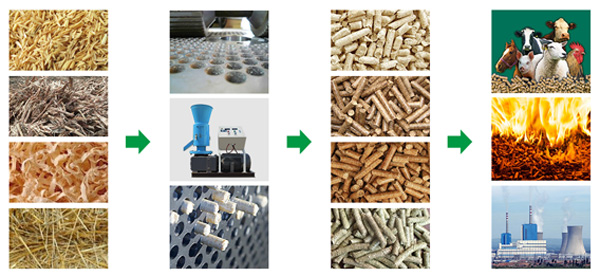 秸稈燃料顆粒機(jī)可以開發(fā)很多致富項目